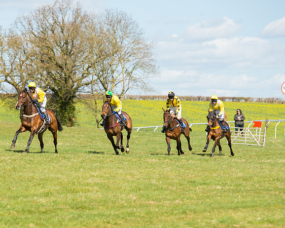 Race 2 - TBA Mares and Fillies (53 of 72).jpg