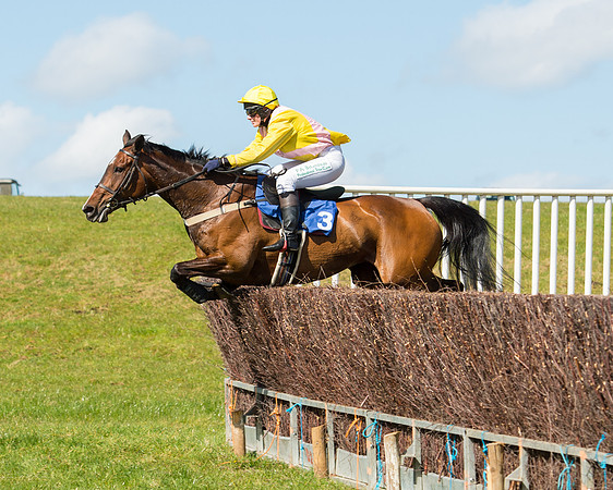 Race 2 - TBA Mares and Fillies (55 of 72).jpg