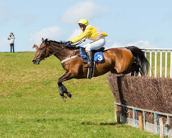 Race 2 - TBA Mares and Fillies (56 of 72).jpg