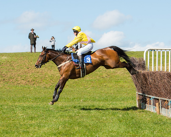 Race 2 - TBA Mares and Fillies (57 of 72).jpg