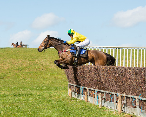 Race 2 - TBA Mares and Fillies (58 of 72).jpg