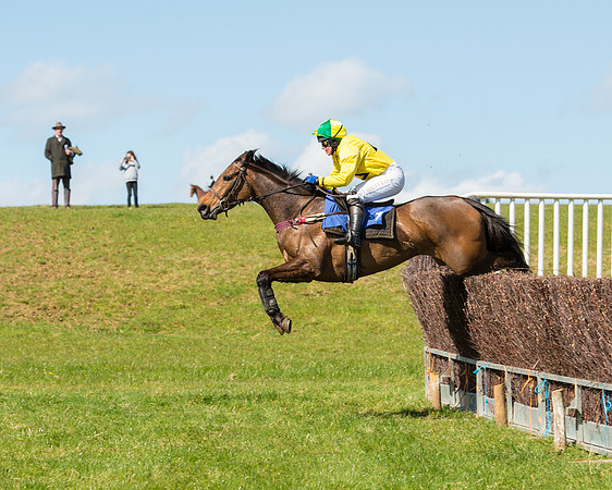 Race 2 - TBA Mares and Fillies (59 of 72)