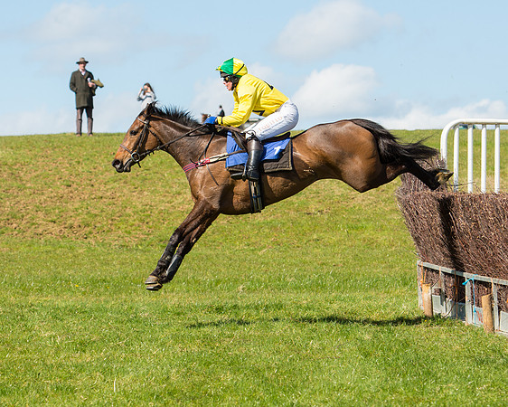 Race 2 - TBA Mares and Fillies (60 of 72).jpg