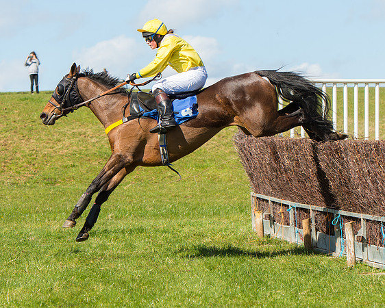 Race 2 - TBA Mares and Fillies (62 of 72).jpg