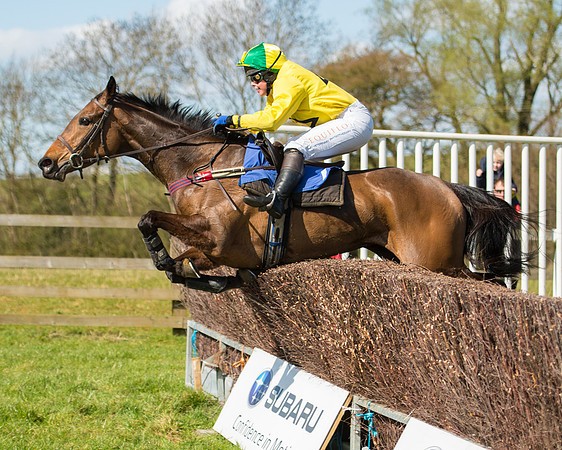 Race 2 - TBA Mares and Fillies (64 of 72).jpg