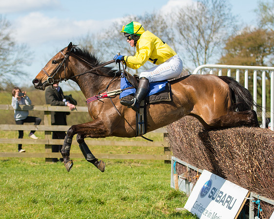 Race 2 - TBA Mares and Fillies (65 of 72).jpg