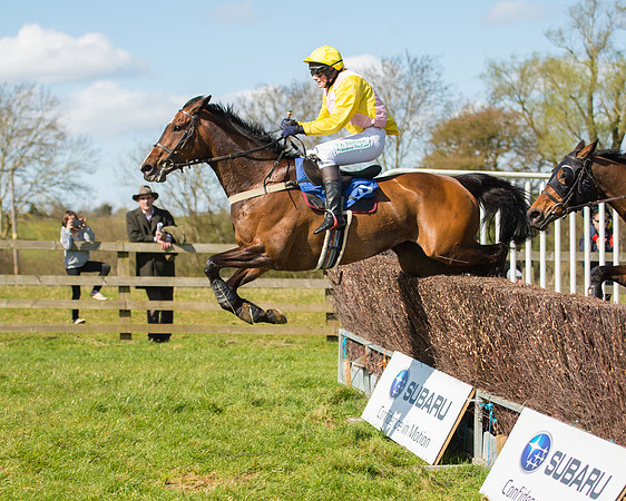 Race 2 - TBA Mares and Fillies (68 of 72).jpg