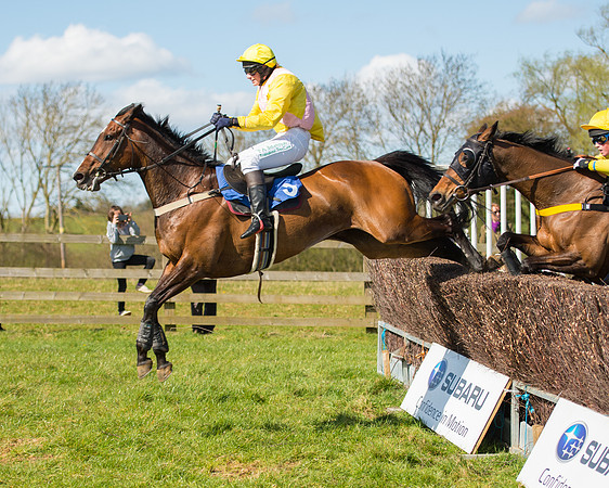 Race 2 - TBA Mares and Fillies (69 of 72).jpg