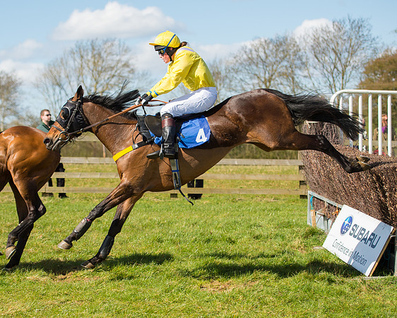 Race 2 - TBA Mares and Fillies (72 of 72).jpg