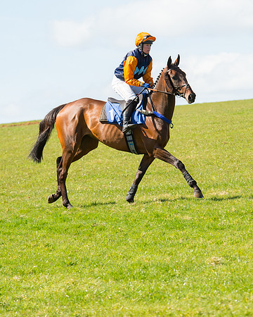Race 3 - Ladies Open (5 of 79)