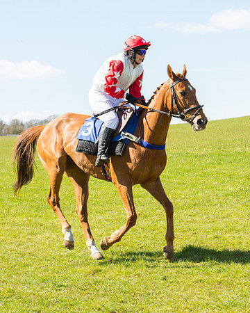Race 3 - Ladies Open (16 of 79).jpg