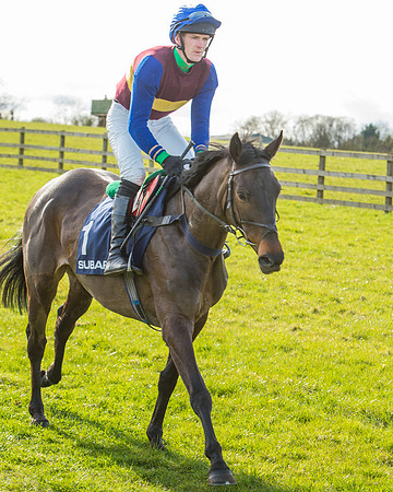 Race 5 - Subaru Restricted (12 of 65).jpg