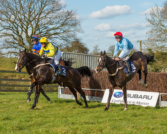 Race 5 - Subaru Restricted (21 of 65).jpg