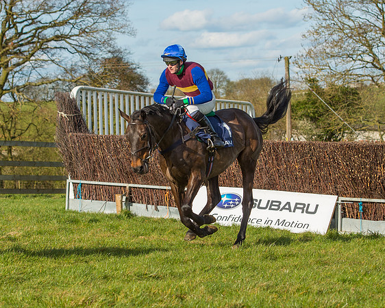 Race 5 - Subaru Restricted (27 of 65).jpg