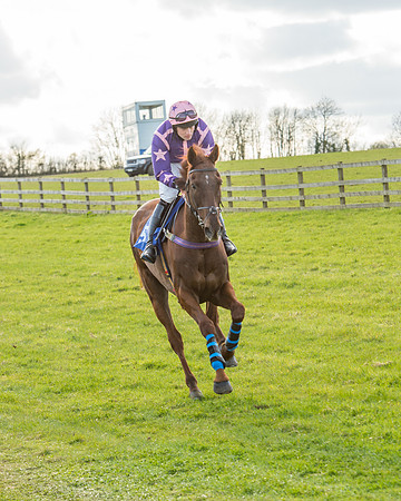 Race 6 - Open Maiden (11 of 88).jpg
