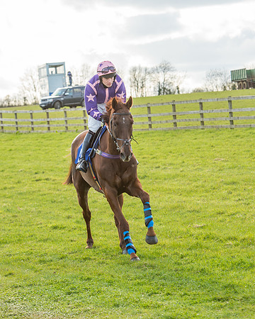 Race 6 - Open Maiden (12 of 88).jpg