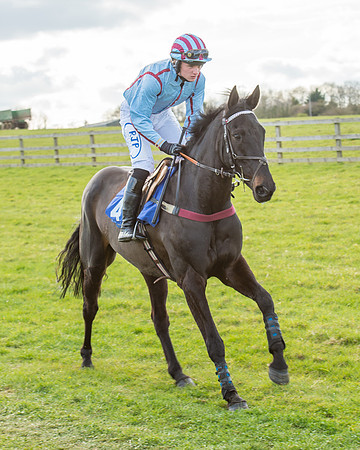Race 6 - Open Maiden (16 of 88).jpg