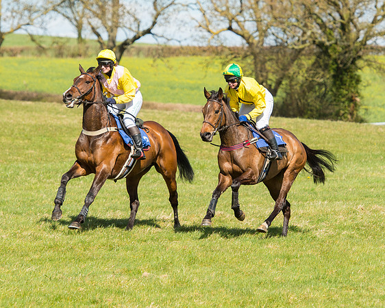 Race 2 - TBA Mares and Fillies (33 of 72).jpg