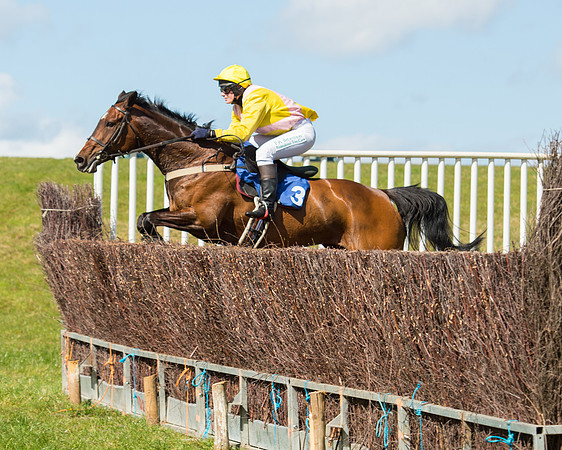 Race 2 - TBA Mares and Fillies (54 of 72).jpg