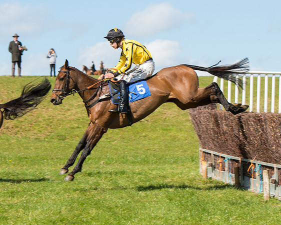 Race 2 - TBA Mares and Fillies (61 of 72).jpg
