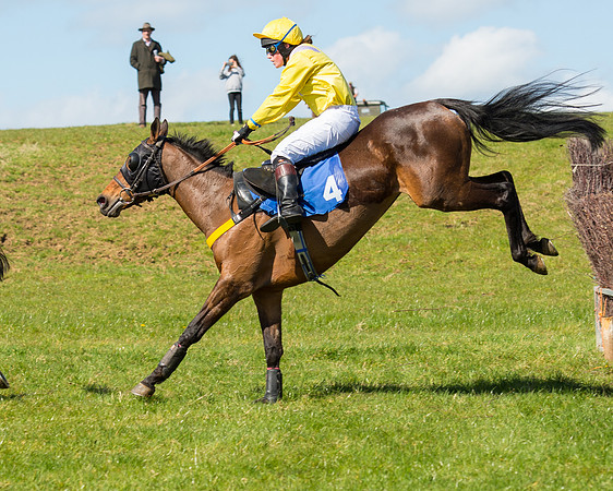 Race 2 - TBA Mares and Fillies (63 of 72).jpg