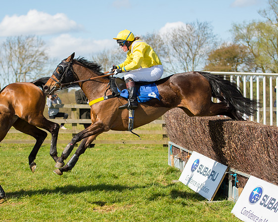 Race 2 - TBA Mares and Fillies (71 of 72).jpg