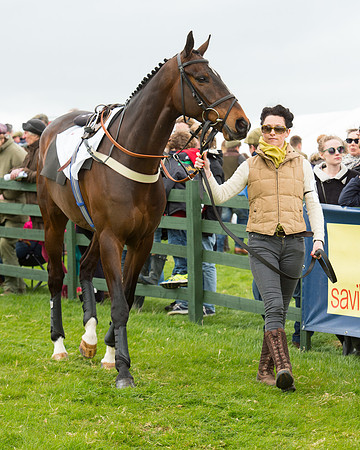 Race 2 - Confined Hunts Race (2 of 100).jpg