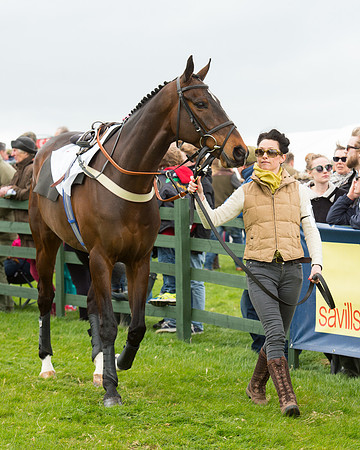 Race 2 - Confined Hunts Race (3 of 100).jpg