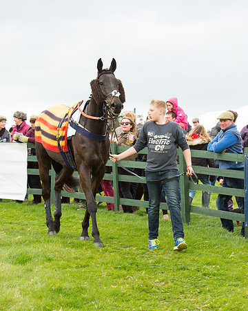 Race 2 - Confined Hunts Race (9 of 100).jpg