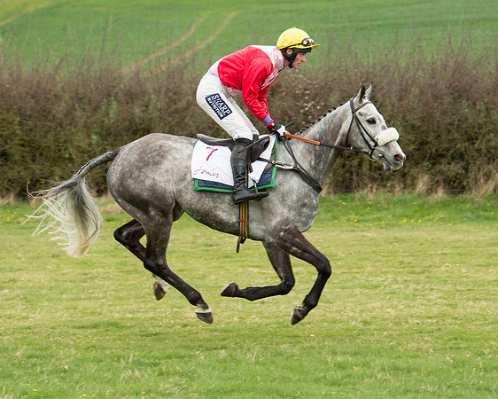 Race 2 - Confined Hunts Race (27 of 100).jpg