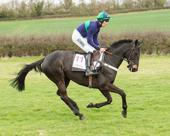 Race 2 - Confined Hunts Race (28 of 100).jpg