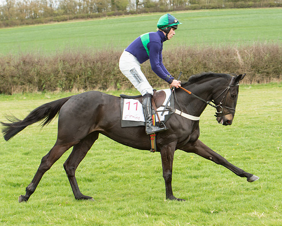 Race 2 - Confined Hunts Race (30 of 100).jpg