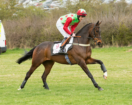 Race 2 - Confined Hunts Race (31 of 100).jpg