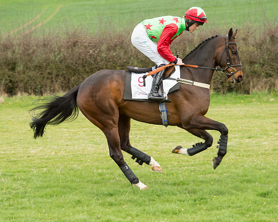 Race 2 - Confined Hunts Race (33 of 100).jpg