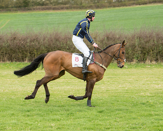 Race 2 - Confined Hunts Race (34 of 100).jpg