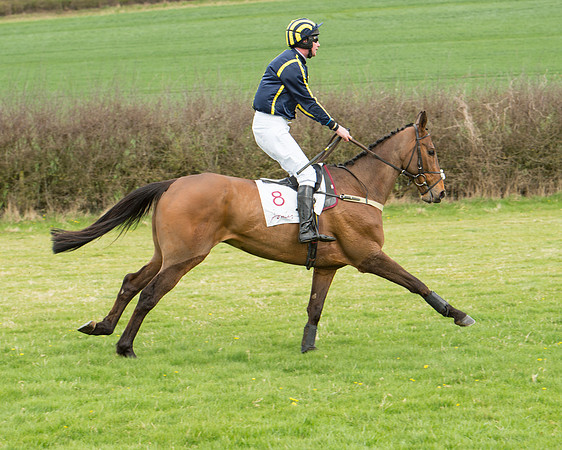 Race 2 - Confined Hunts Race (36 of 100).jpg