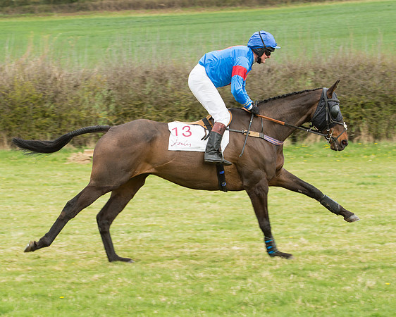Race 2 - Confined Hunts Race (38 of 100).jpg