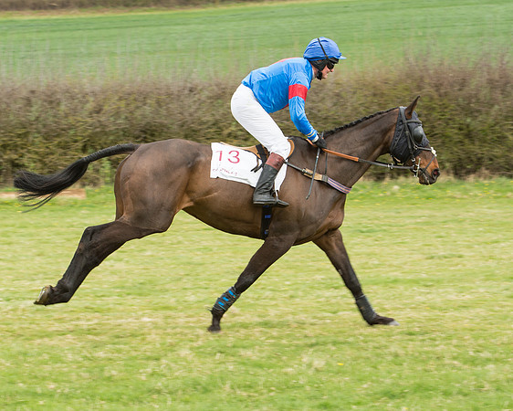 Race 2 - Confined Hunts Race (39 of 100).jpg