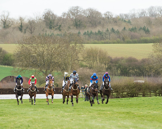 Race 2 - Confined Hunts Race (54 of 100).jpg