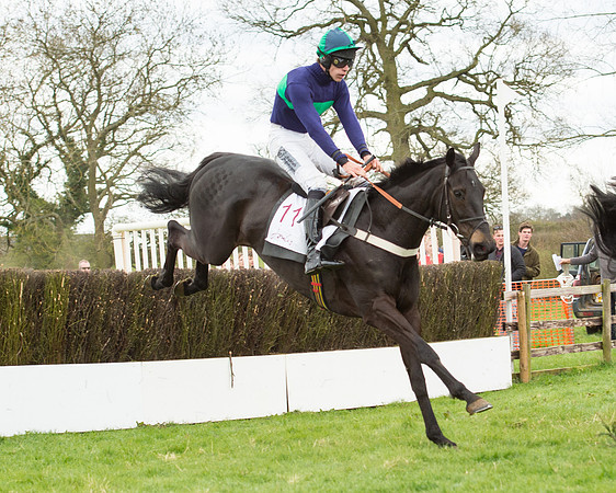 Race 2 - Confined Hunts Race (68 of 100).jpg