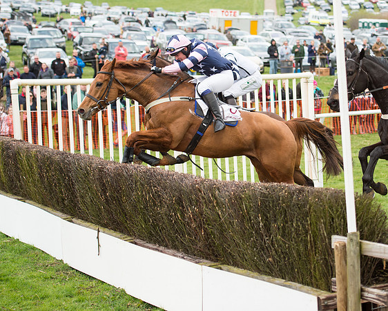 Race 2 - Confined Hunts Race (70 of 100).jpg