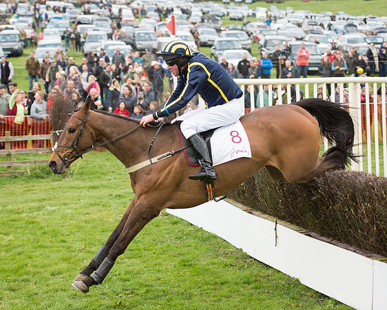 Race 2 - Confined Hunts Race (78 of 100).jpg