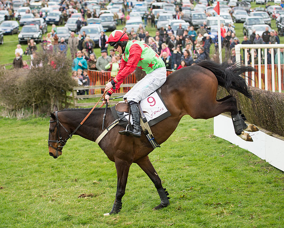 Race 2 - Confined Hunts Race (79 of 100).jpg