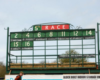 Race 5 - Restricted race (1 of 131).jpg