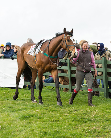 Race 5 - Restricted race (4 of 131).jpg