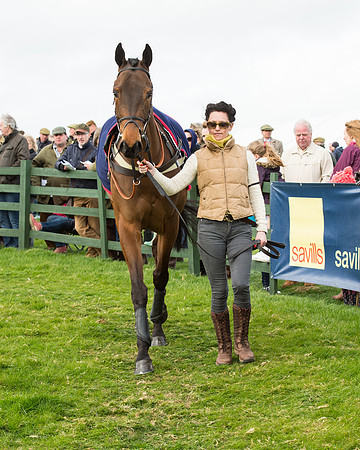 Race 5 - Restricted race (26 of 131).jpg