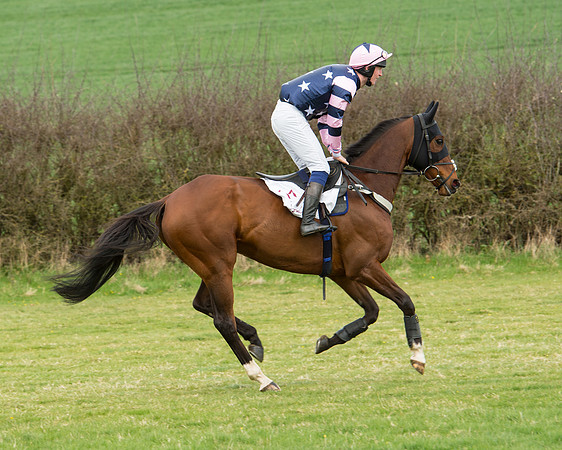 Race 5 - Restricted race (28 of 131).jpg