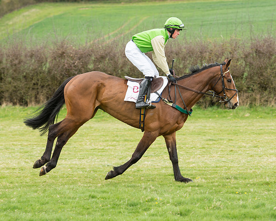 Race 5 - Restricted race (31 of 131).jpg