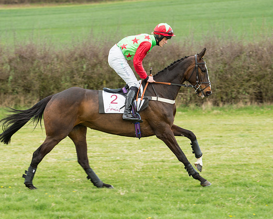 Race 5 - Restricted race (44 of 131).jpg