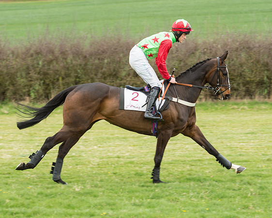 Race 5 - Restricted race (45 of 131).jpg
